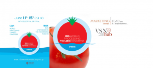 VSN HUB at 13th World Processing Tomato Congress