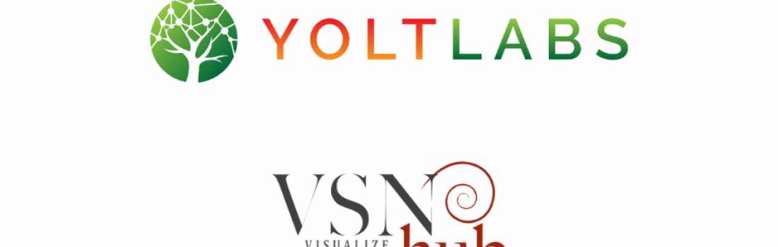 Yolt Labs and VSN HUB announce their strategic partnership